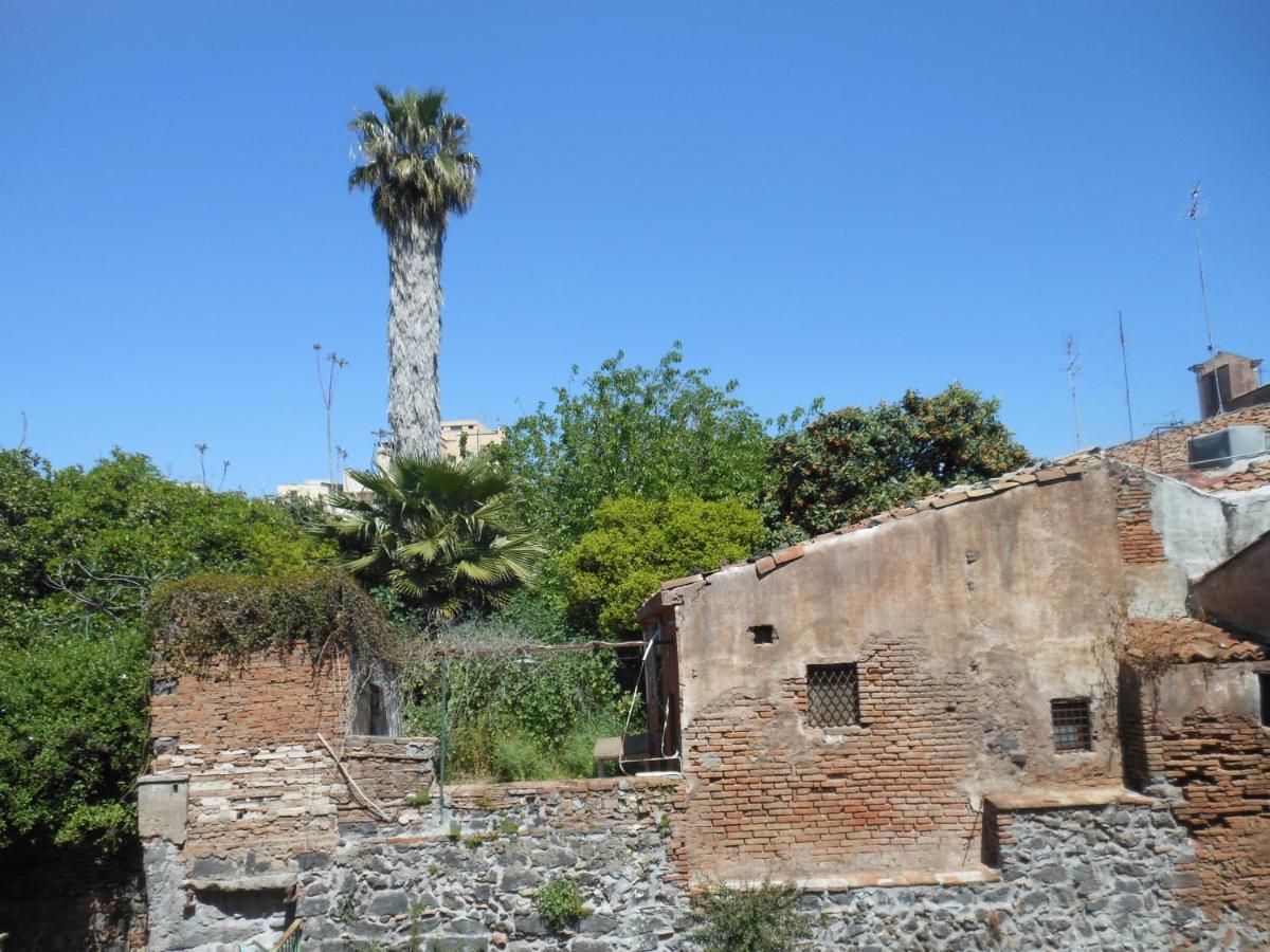 Naturalliving Catania Bagian luar foto